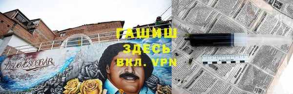 соль ск Алексин