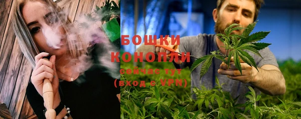 шишки Алзамай