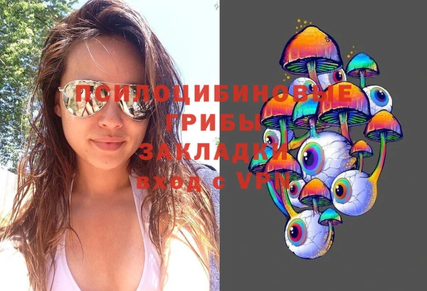 соль ск Алексин