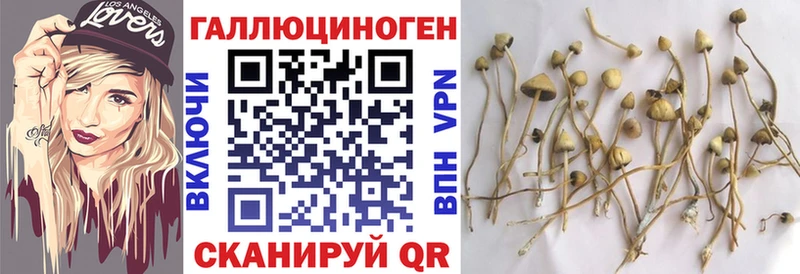 Псилоцибиновые грибы прущие грибы  Усть-Лабинск 